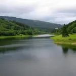Fontana Gæstehus